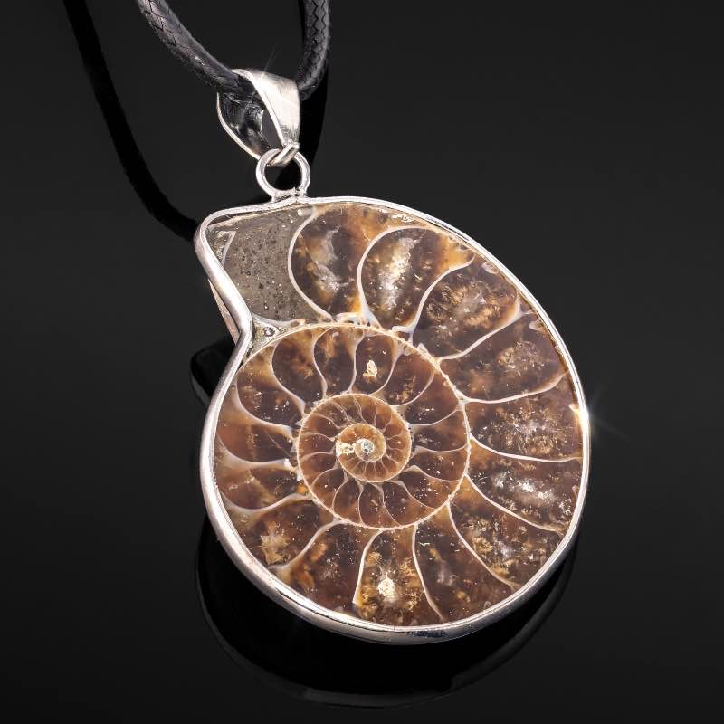 Ammonite Fossil Necklace